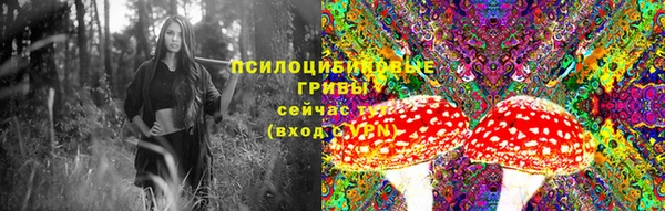 МДМА Беломорск