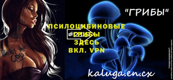 стафф Ступино