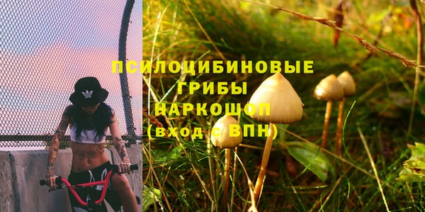 МДМА Белокуриха