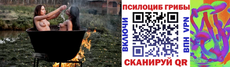 блэк спрут как войти  Мещовск  Псилоцибиновые грибы MAGIC MUSHROOMS 